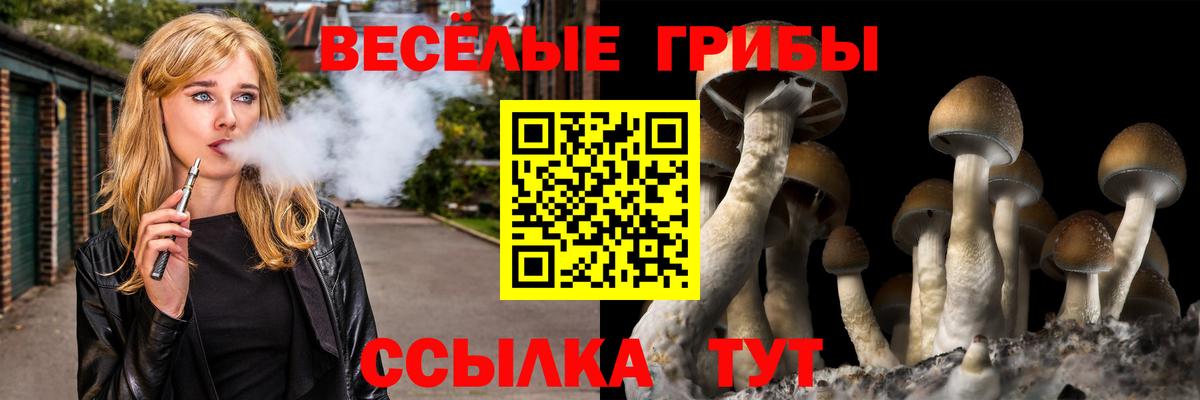 Псилоцибиновые грибы Magic Shrooms  Вход с VPN  Екатеринбург 